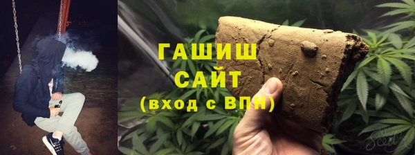 прущие грибы Алзамай