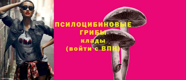 прущие грибы Алзамай