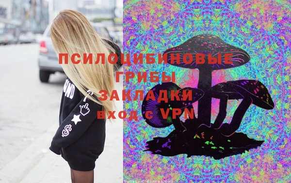 прущие грибы Алзамай