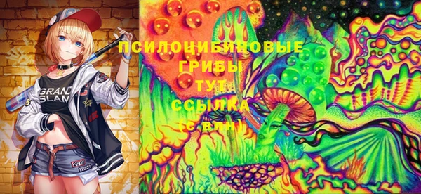 прущие грибы Алзамай