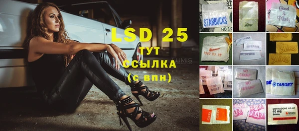 прущие грибы Алзамай