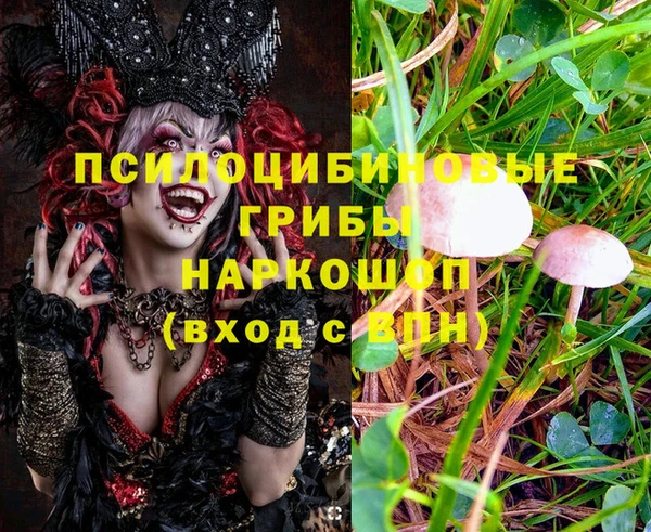 мяу мяу мука Алексин