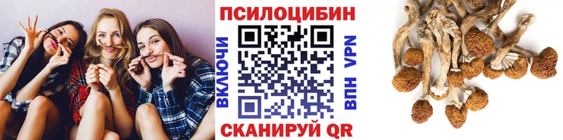 Галлюциногенные грибы GOLDEN TEACHER  хочу   Октябрьск 